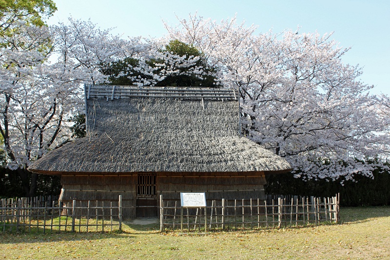 桜_伊場遺跡公園