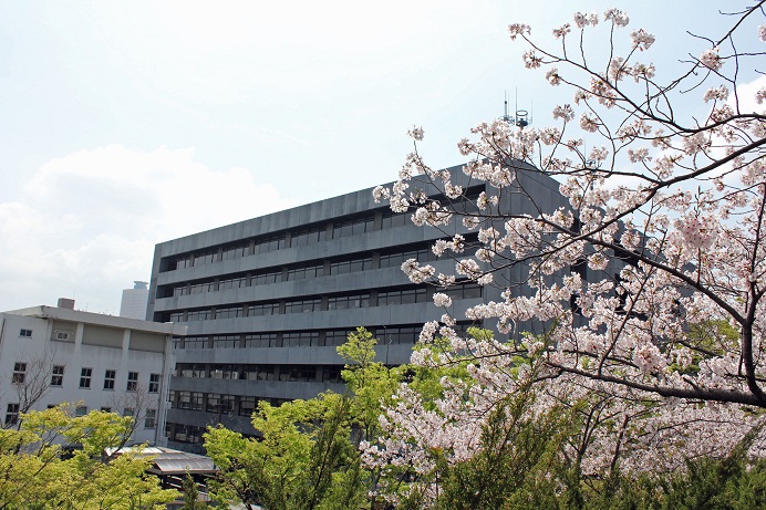 桜_浜松市役所